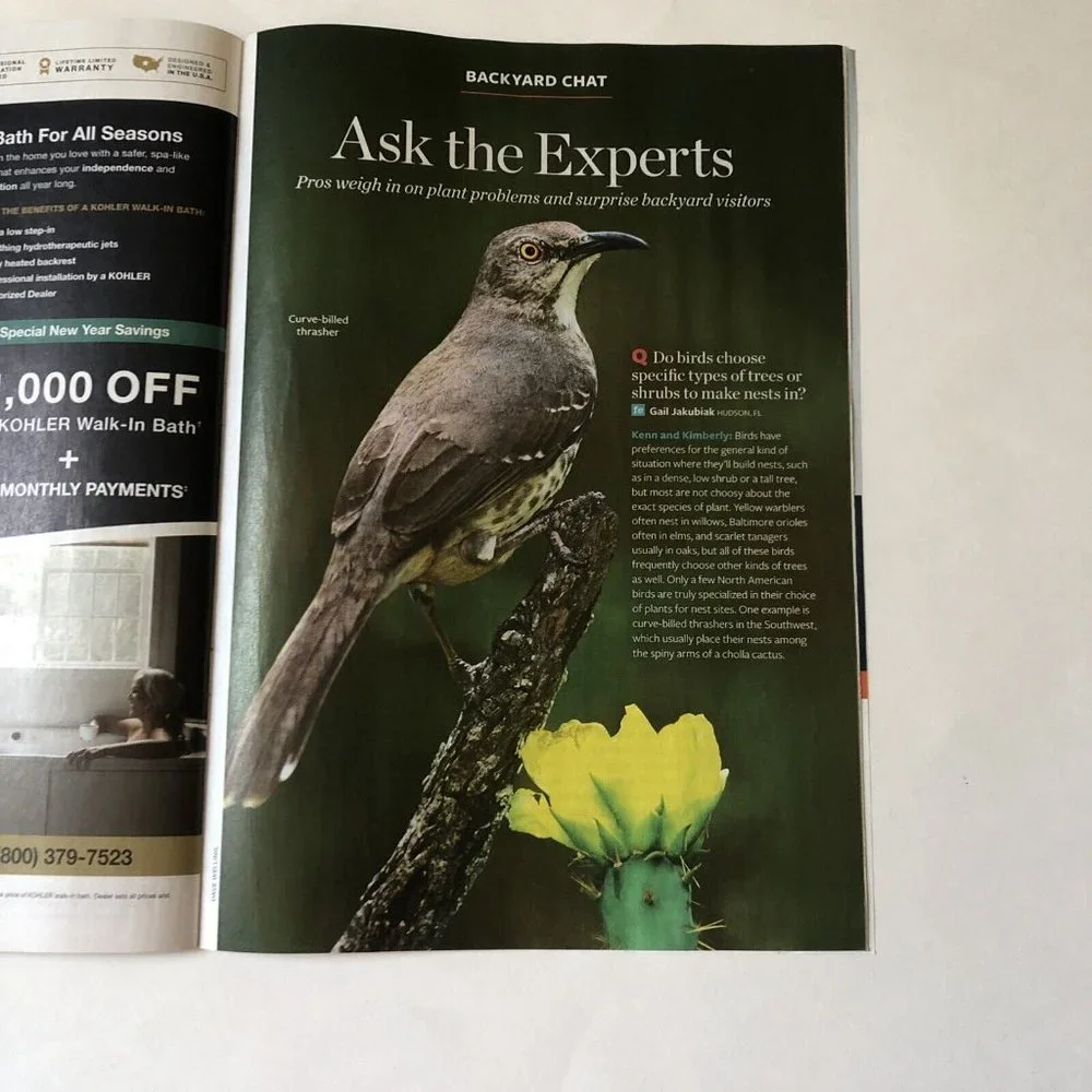 Birds and Blooms Mag March Extra 2023-Finches-Herbs-feeding hacks-ground cover